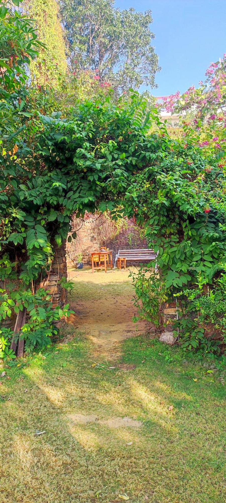 Bed and Breakfast The Secret Garden Pushkar Zewnętrze zdjęcie